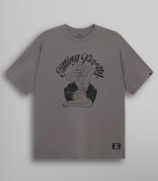 Футболка Relaxed Sitting Pretty Tee (Alpha Industries)